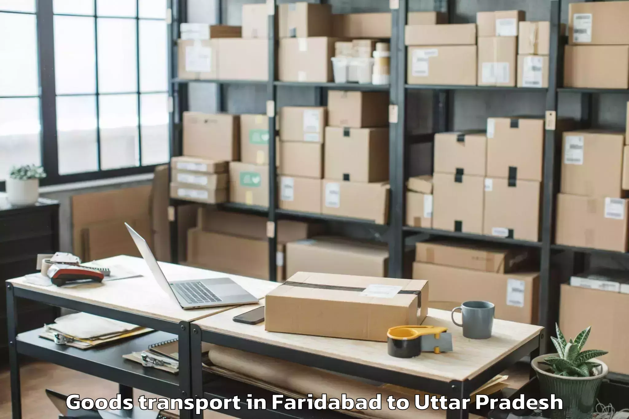 Quality Faridabad to Naraini Goods Transport